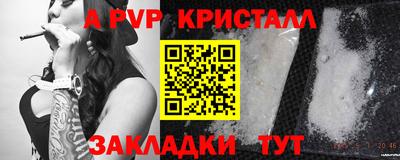 apvp Ярославль