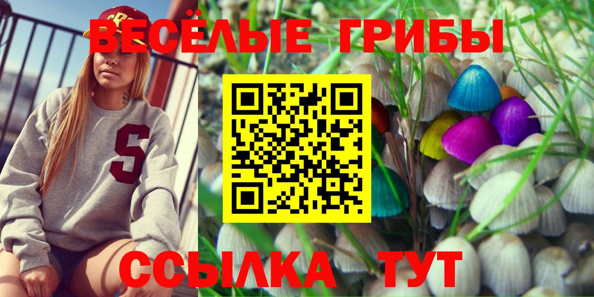 где продают наркотики  Галлюциногенные грибы прущие грибы  Вход с VPN  Новосибирск 