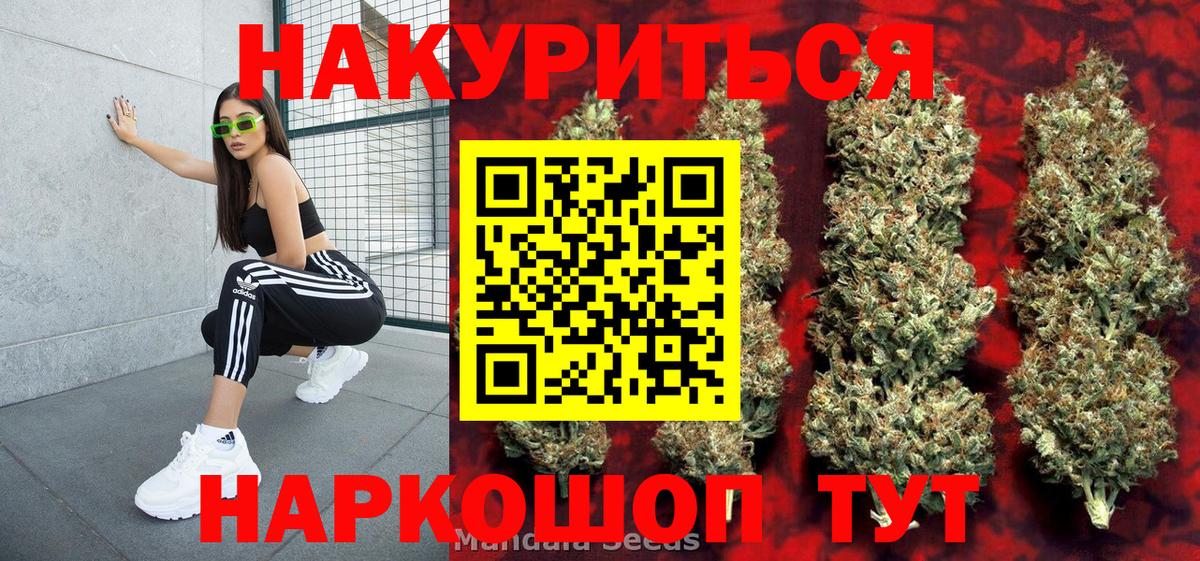 Каннабис OG Kush Новосибирск